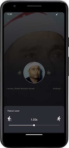 Mostafa Ismael Quran offline