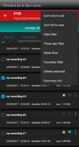 Pure Voice Recorder Screen 3