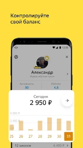 Яндекс Про (Х)