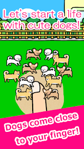 Play with Dogs – relaxing game 2
