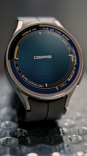 OSIRIS Watch Face Screen 3