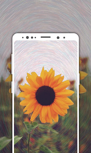 Android application Aesthetic Live Wallpaper screenshort