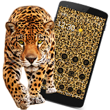 Shining Leopard Blackgold Tema icon