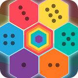 Bee - Hex Match Puzzle icon
