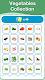 screenshot of Vegetables Cards Games