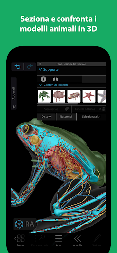 Anteprima dell'app