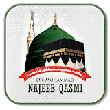 Dr M Najeeb Qasmi icon