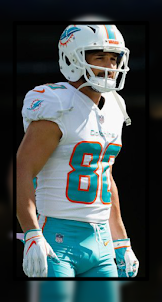 Wallpaper for Miami Dolphins