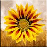 Fall Harvest Flowers icon