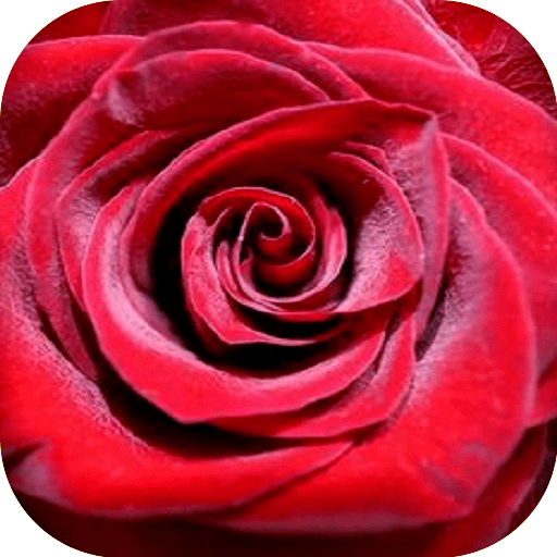 Flowers and Roses Animated Gif logo