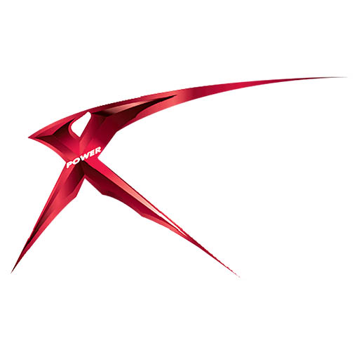 X Power Gym & Spa logo
