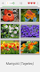screenshot of Flowers Quiz - Identify Plants