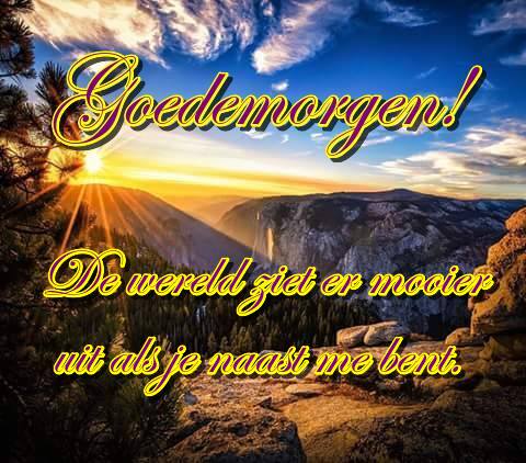 Goedemorgen