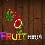 guide fruit ninja icon