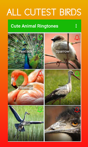 Download Cute Animal Ringtones Free for Android - Cute Animal Ringtones APK  Download 