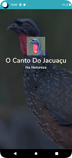 Visualização do aplicativo