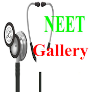 NEET Gallery