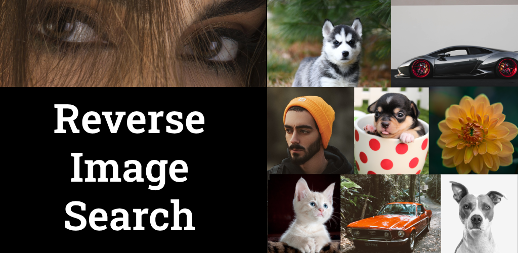 Photo Sherlock MOD APK v1.92 (PRO Unlocked) Download