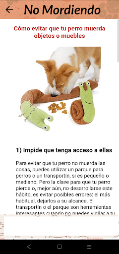 Entrena a tu Mascota Screen 3