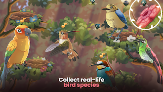 Game screenshot Bird Kind apk download