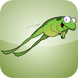 Frog Traffic icon