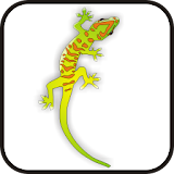 Gecko doo-dad org/yell/green icon