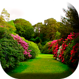 Relaxing Gardens Live Wallpap icon