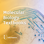 Cover Image of डाउनलोड Molecular Biology Textbooks  APK