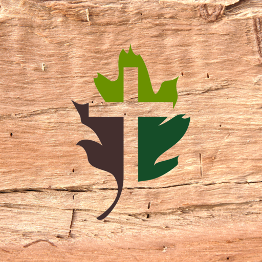 The Church at Eastern Oaks logo