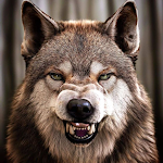 Cover Image of Descargar lobo parlante  APK