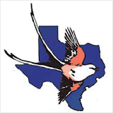 BirdsEye Texas OS icon