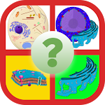 Cover Image of Unduh Anatomy Online Quiz: Cell and  APK