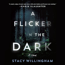 图标图片“A Flicker in the Dark: A Novel”