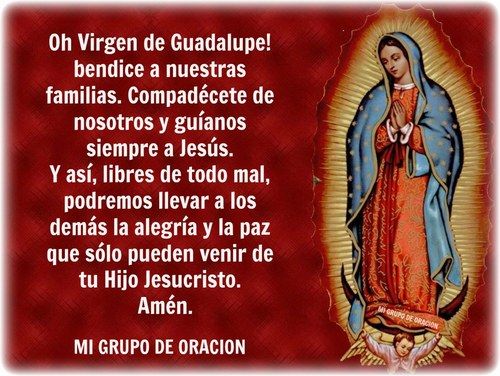 Android application Virgen de Guadalupe Frases screenshort
