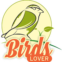 Birds Lover - Birds and Parrot