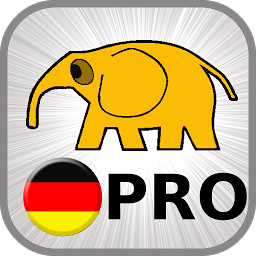 Icon image Learn German Basics PRO