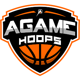 Icon image AGame Hoops
