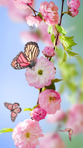 Spring Flowers Wallpapers Screen 2