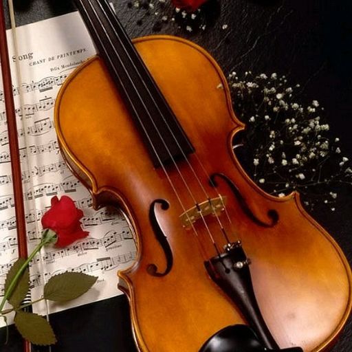 Violin Wallpapers Download on Windows