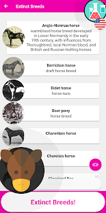 Horse Quiz Game 2020