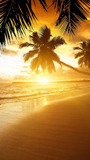 Beach Sunset Live Wallpaper Screen 2