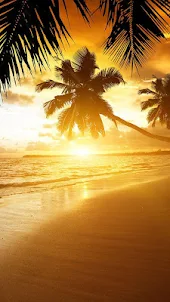 Beach Sunset Live Wallpaper