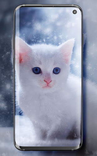 Cute Cats Live Wallpaper - Latest version for Android - Download APK
