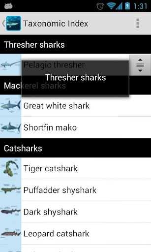 eGuide to Sharks and Rays Screen 2