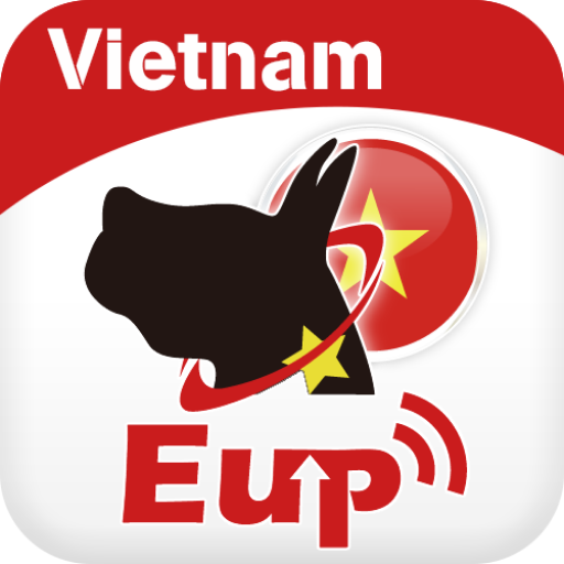 Việt Nam FMS logo