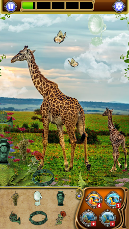 Game screenshot Hidden Object: Animal World hack