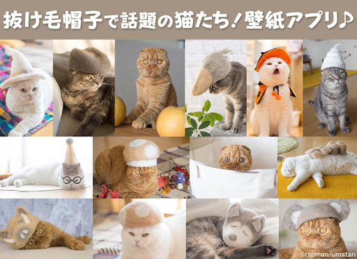 アプリのプレビュー