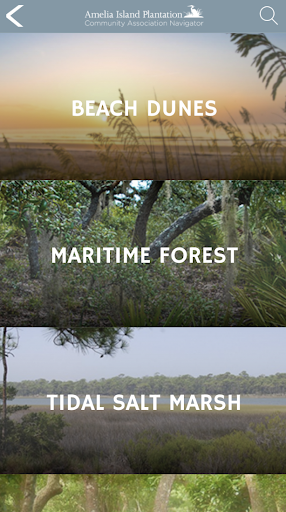 Amelia Island Guide Screen 2