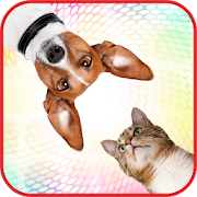 Sounds of cats and dogs - play, tease animals!