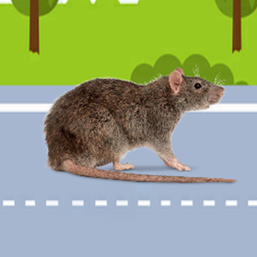 Rat Sound Simulator Mouse